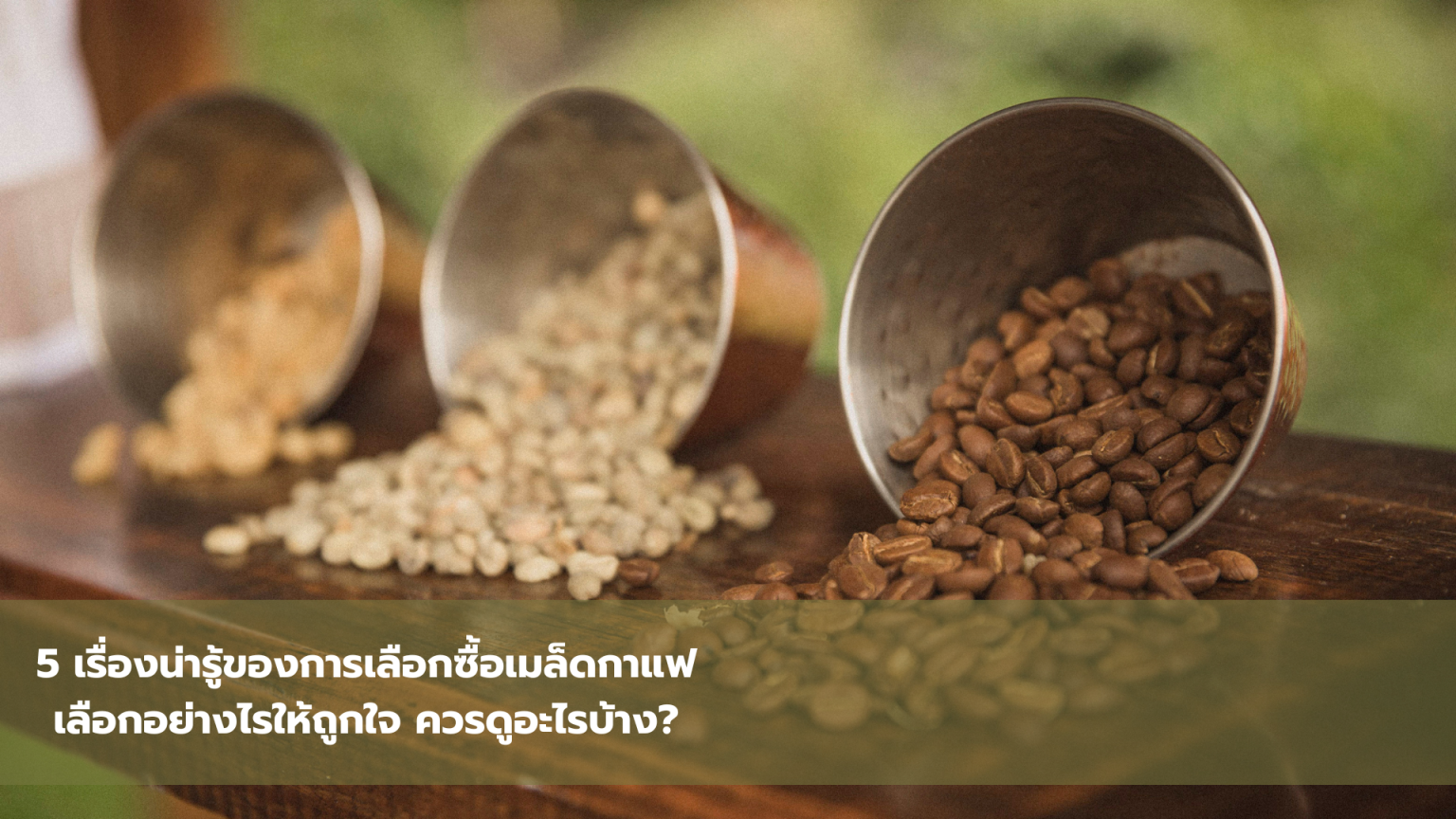 ประโยคการเลือกเมล็ดกาแฟ