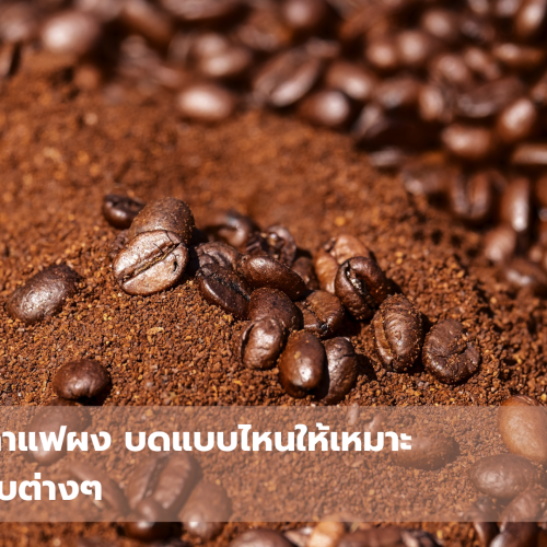 ระดับผงกาแฟ
