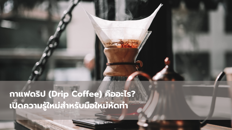กาแฟดริป (Drip Coffee) คืออะไร เปิดความรู้ใหม่สำหรับมือใหม่หัดทำ