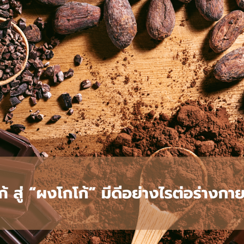 ประโยชน์โกโก้ สู่ “ผงโกโก้”